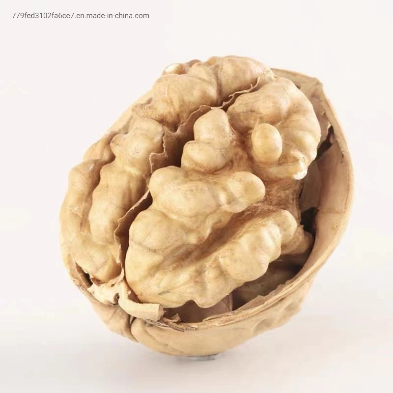 Cheap Wholesale/Supplier Price Top Quality Walnuts Chandler Inshel Walnuts