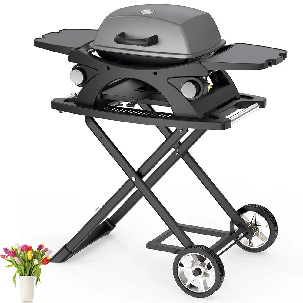 Outdoor barbecue à gaz GPL portable Hi-Quality grille en fonte