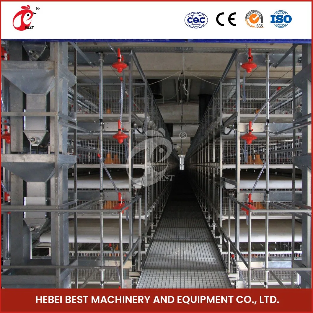 Bestchickencage China Wholesale/Supplier Hen Coop Manufacturer H Frame Automatic Boriler Cages ODM Custom Good Ventilate DIY Cage for Chicken