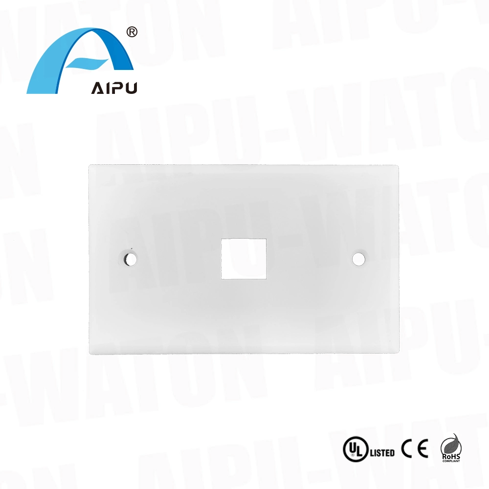 USA Type 2 Port Faceplate 120*80mm Long Wall Plate Rj11/RJ45 Dual Outlet Face Plate Commscope Nexan Panduit Belden Siemon Legrand Equivalent