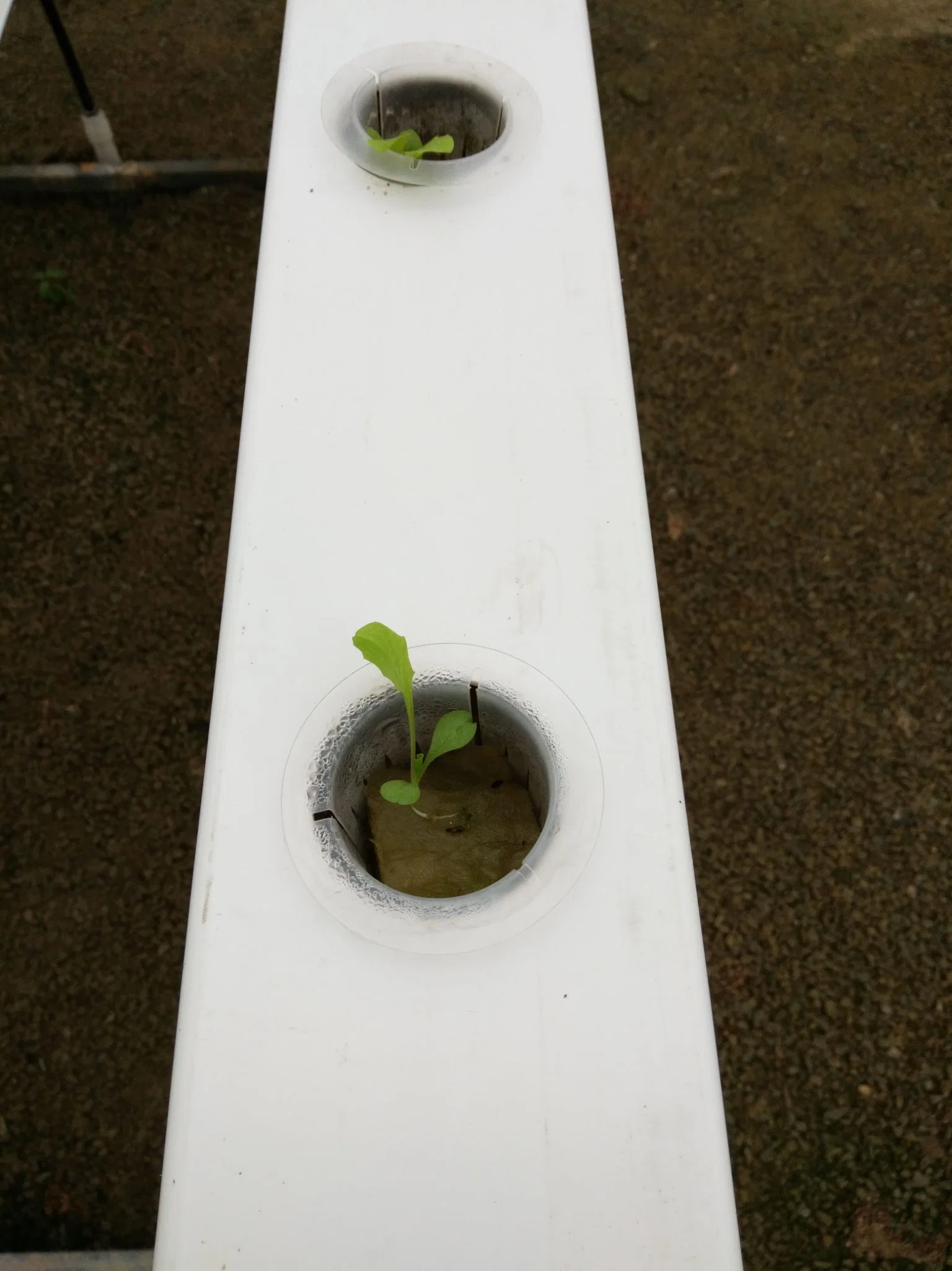 Agricultural Greenhouse PVC Pipe N. F. T Future Farming