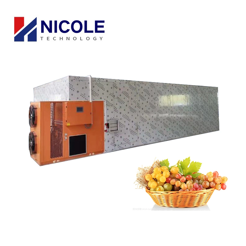 PLC Control Easy Operate Hot Air Circulation Fruits Drying Oven for Mango Pineapple Lemon Banana Slice