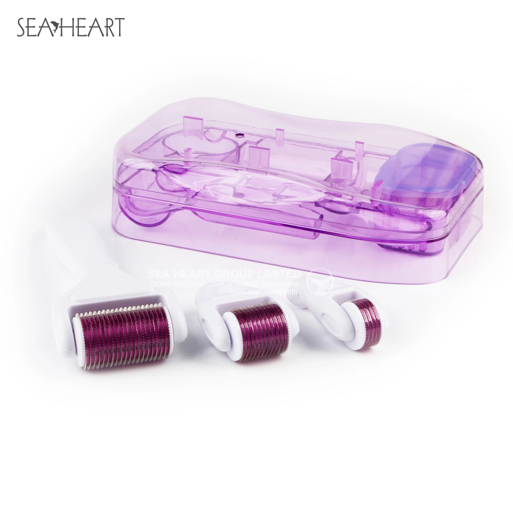 Multifunction Micro Meedle Therapy 4 in 1 Derma Roller Set