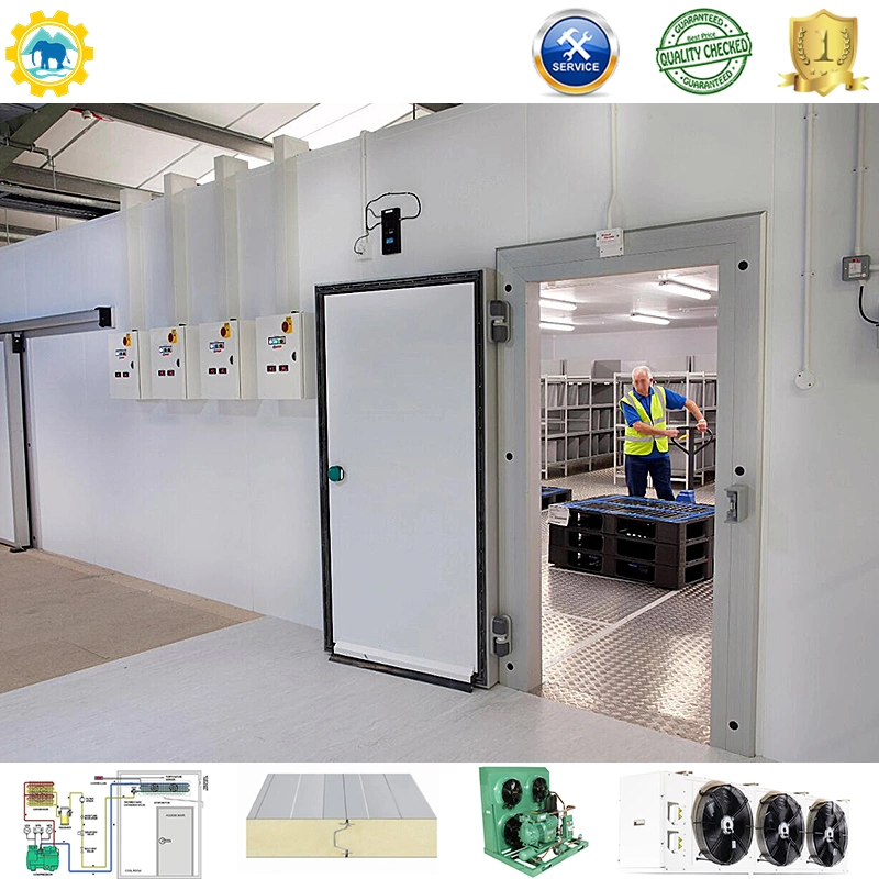 Restaurant Food Storage Deep Freezer Cold Room/Commercial Walk-in Freezer/Compressor Freezer Room