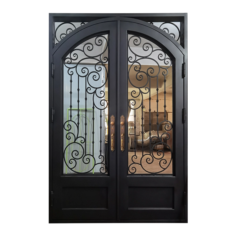 Modern OEM Design Double Luxury Front Exteior Steel Other Door for Home