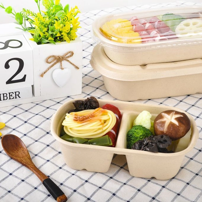 Food Grade Rectangular Bagasse Food Container Disposable Takeaway Packaging Box Fast Food Box Fruit Snack Lunch Box