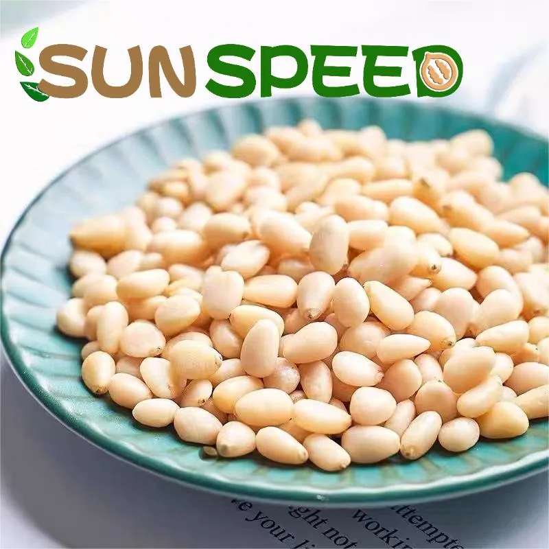 Оптовые продажи Новые культуры Top Quality Pine Nuts Здоровые Пища сушеная Кедр Пиненут