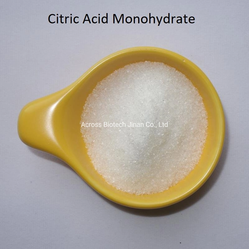 Organic Acid Citric Acid of Monohydrate and Anhydrous with Nice Price