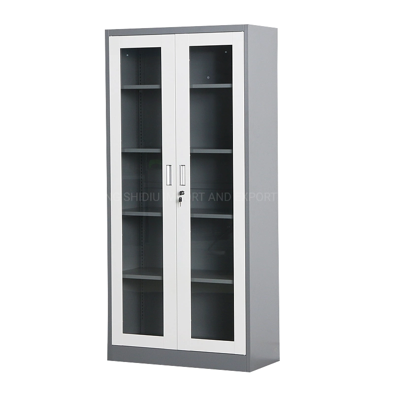 Swing Glass 2 Door Storage File Cabinet with Adjustable Shelves