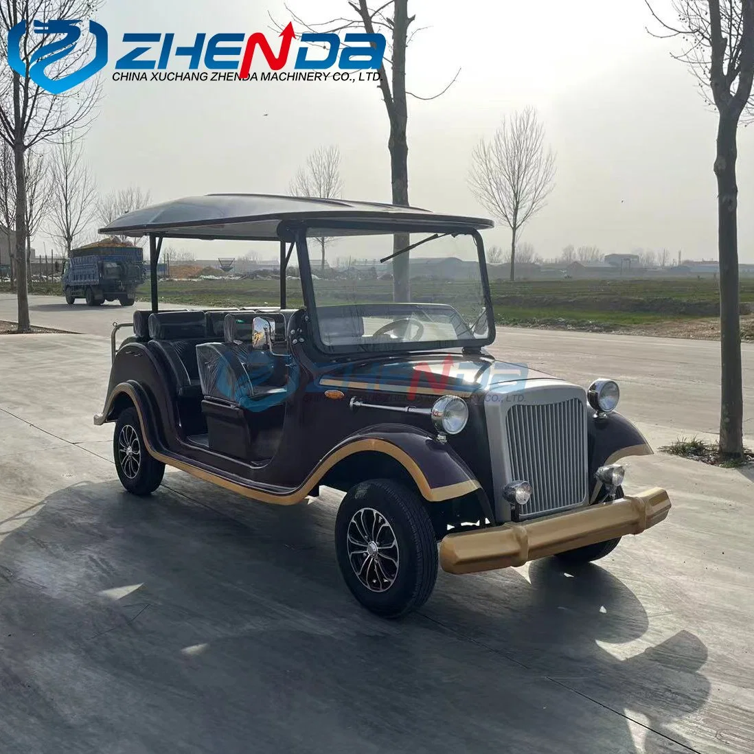 Brand New Discounted Price High Performance Factory Outlet Golf Cart Classic Cars for Sale