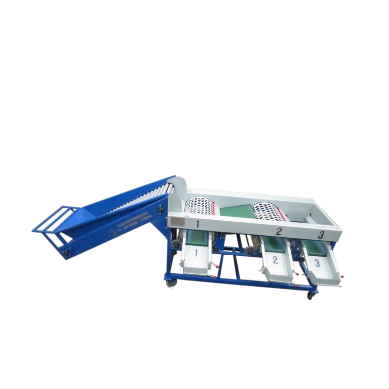 Stainless Steel Shallot Size Sorting Grading Machine