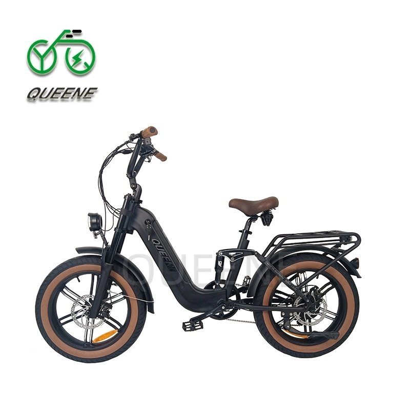 Queene New Arrival 48V500W750W Commuting Electric Bike Powered Electric Vehicle with Double Suspension