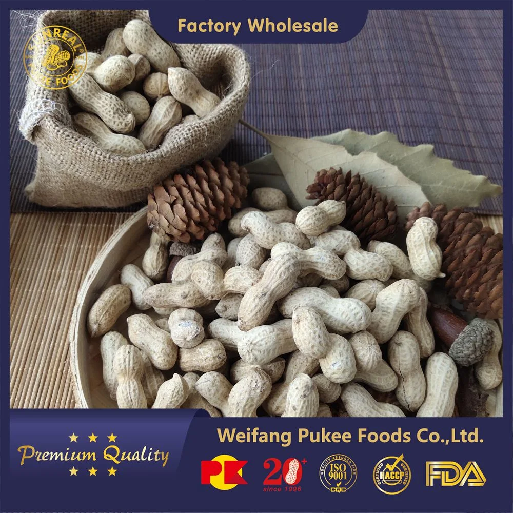 Roasted Peanut in Shell/Java From China/Satisfying Products/Enthusiastic Service