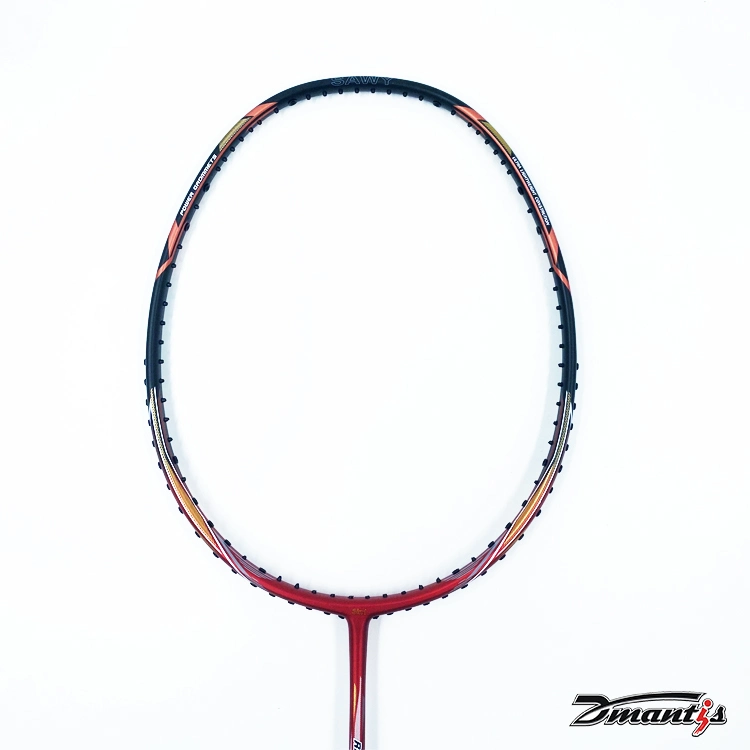 China Custom 5u nivel de alta calidad Badminton Racket Professional Carbon