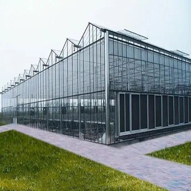 Complete Glass Agricultural Greenhouse Turnkey Project with Quick Construction