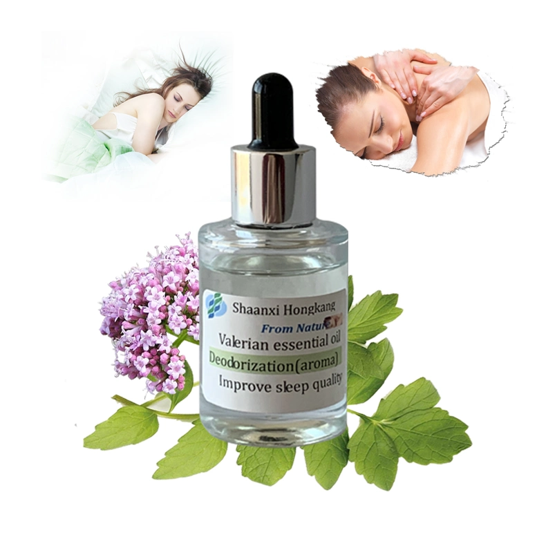 100% Pure Natural Deodorization Valerian Root Extract Valerian Essential Oil Used on Massage Oil