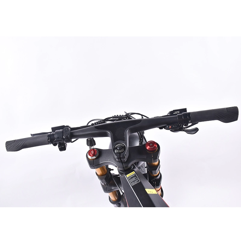 40% off 750W Bafang Rmg062.750 Motor Carbon Fiber Fat E Bicycle