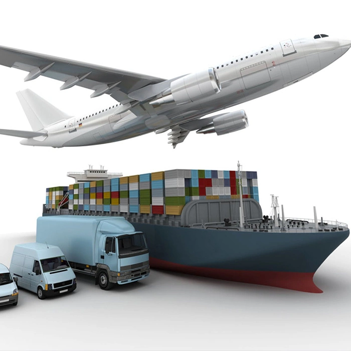 Sea Freight China to Dubai/UAE/Saudi Arabia/Qatar with DDP/DDU Professional Cheapest Fast Freight