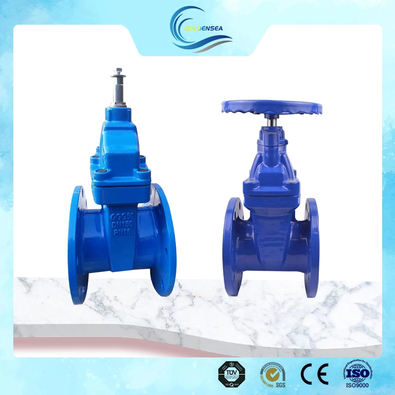 High Performance Vale Pn10 Pn16 Looks Good Flanged Gate Valve for Water