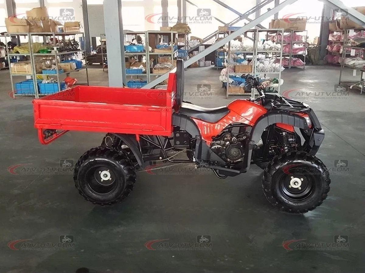 Big Discount 200cc 250cc 300cc 400cc Gas Cargo Farm UTV ATV Quad Bike Price