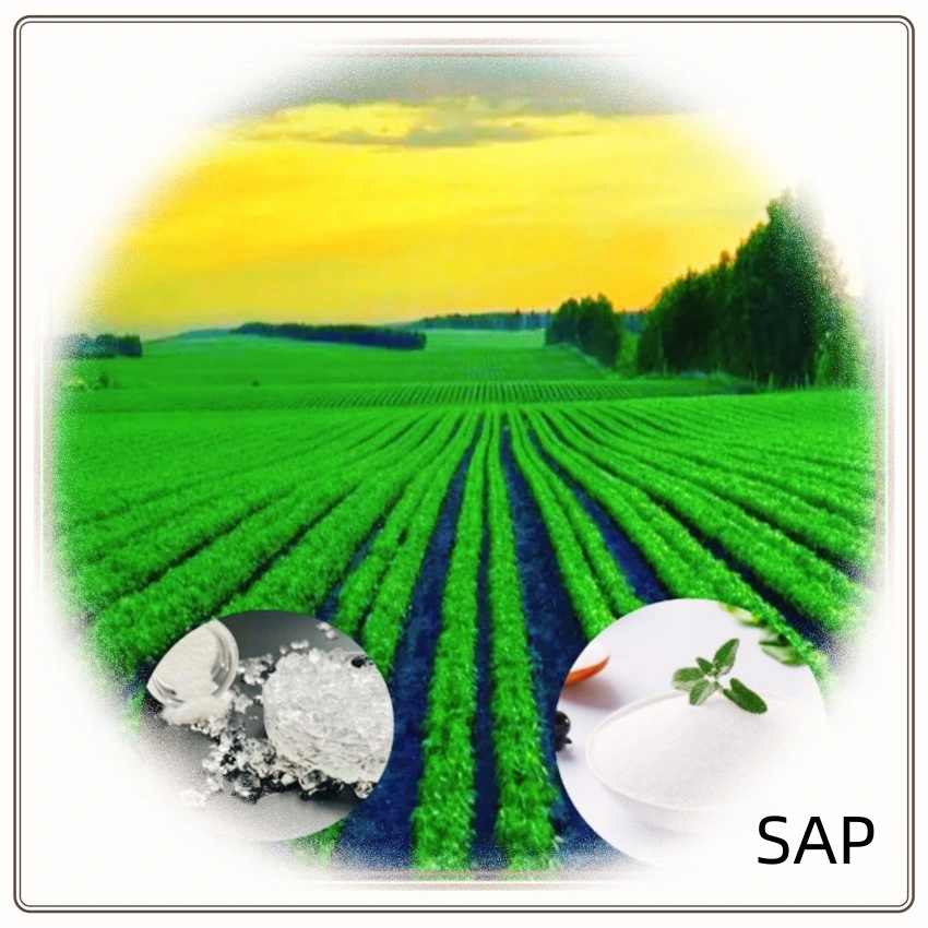 Agricultural Potassium Polyacrylate Sap for Poor Soil Water Retaining Gel