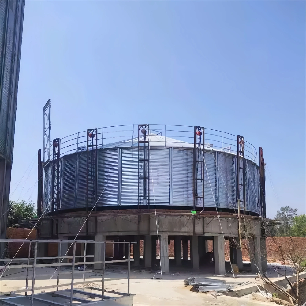 500t Galvanizing Steel Grain Silo for Paddy Storage