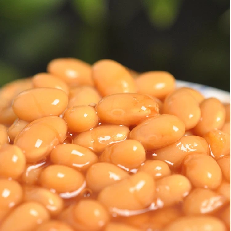 Canned Baked Peas Top Quality White Kidney Beans in Tomato Sauce Paste Sour Salty Taste Wholesale/Supplier Can Food Low Price OEM