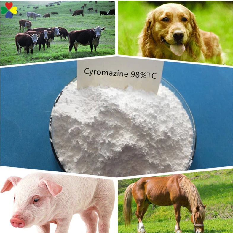 Pesticide Agricultural Chemicals Cyromazine Insecticide 98%Tc