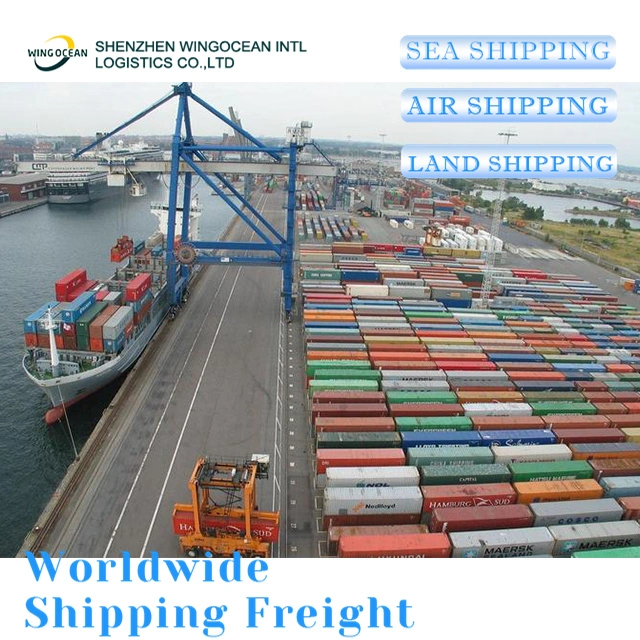 International Shipping China to Germany Maritime Cargo Logistics Service