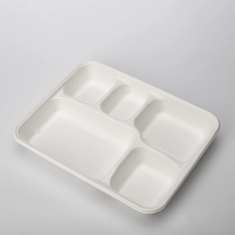 100% Compostable 5 Compartment Plates Disposable Paper Plate Eco-Friendly Disposable Sugarcane 10 Inch Bagasse School Lunch Tray