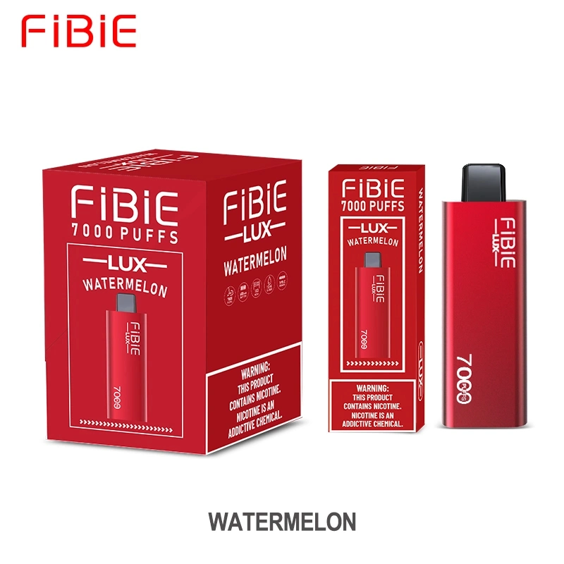 شاحن محمول لآلة تثبيت Factcory Supply Fibie Lux E-Cig 7000 Puts Bar علبة قابلة للتفتيت من القردة الإلكترونية السجائر ميني vape