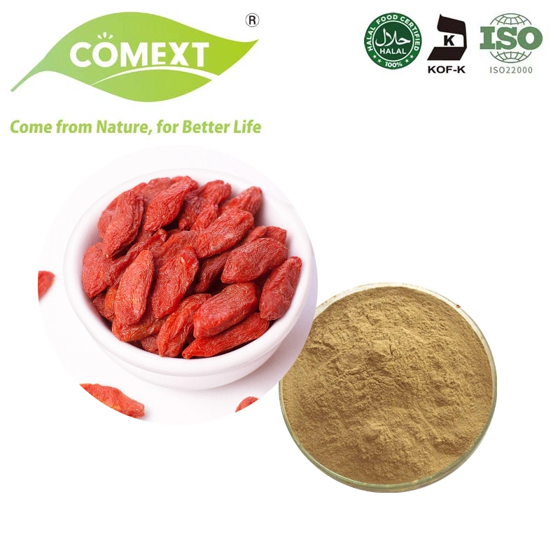 Comext Hot and Organic Product Goji Berry Extract Powder Goji Extract