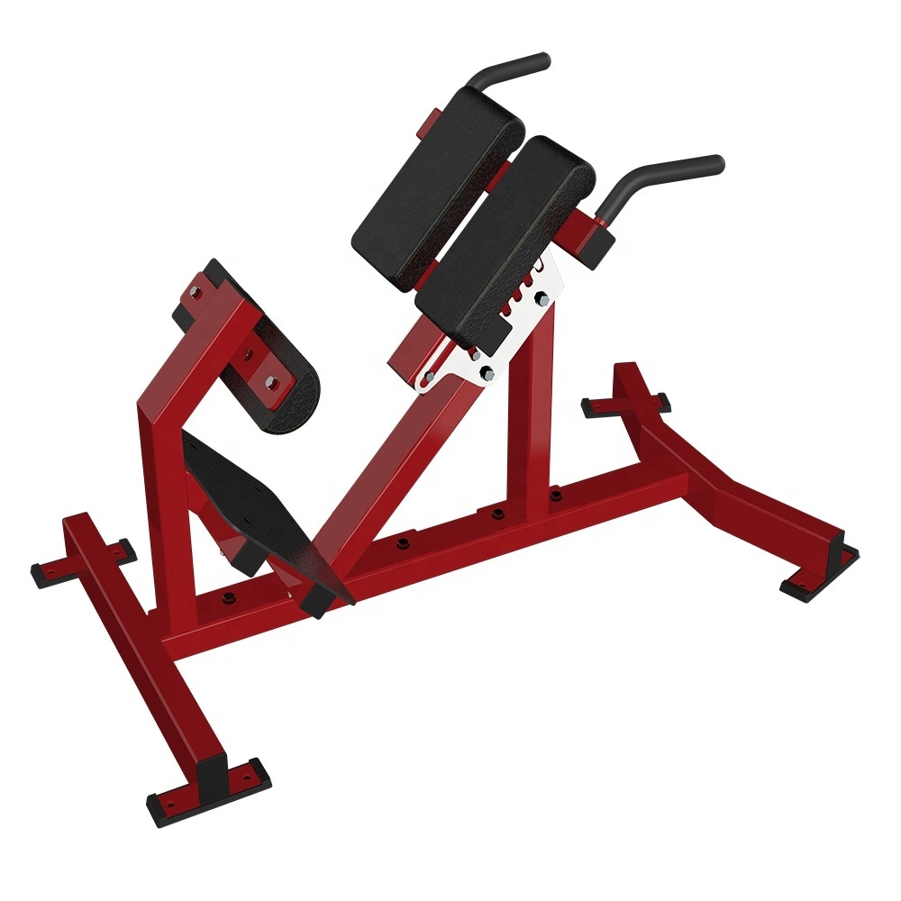 Sports Products Fitness Gym Equipment Free Weight Leg Raise