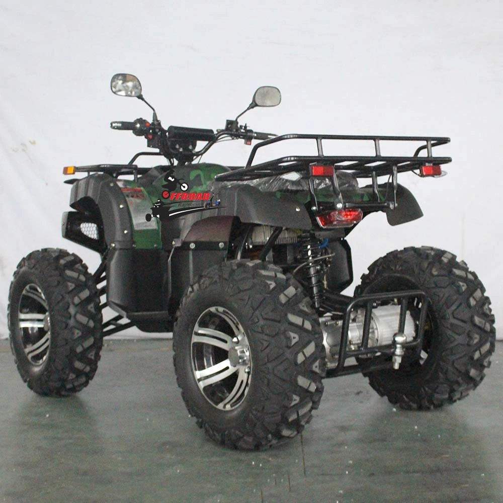 1200W Electric ATV Quad 4X2 Dune Buggy ATV