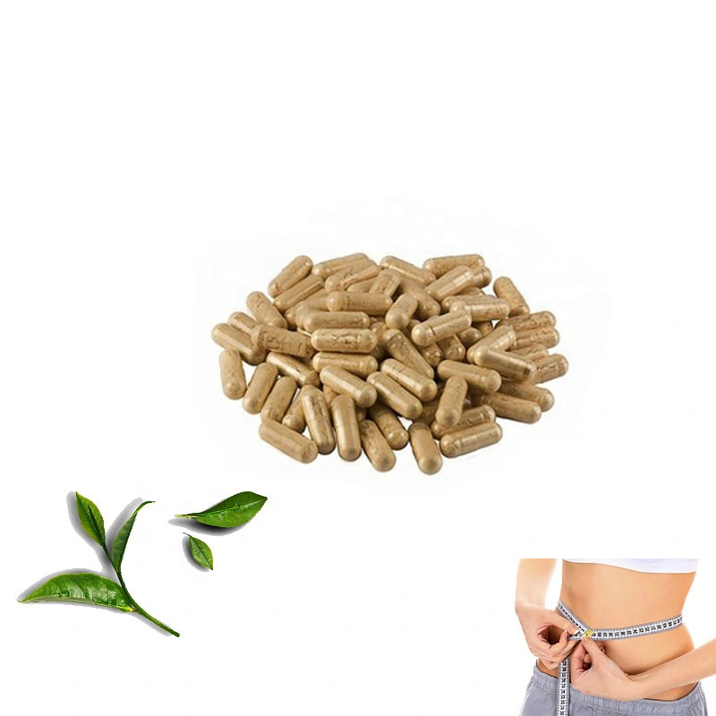 Private Label Weight Loss Fat Burner Capsules for Sport Nutrition