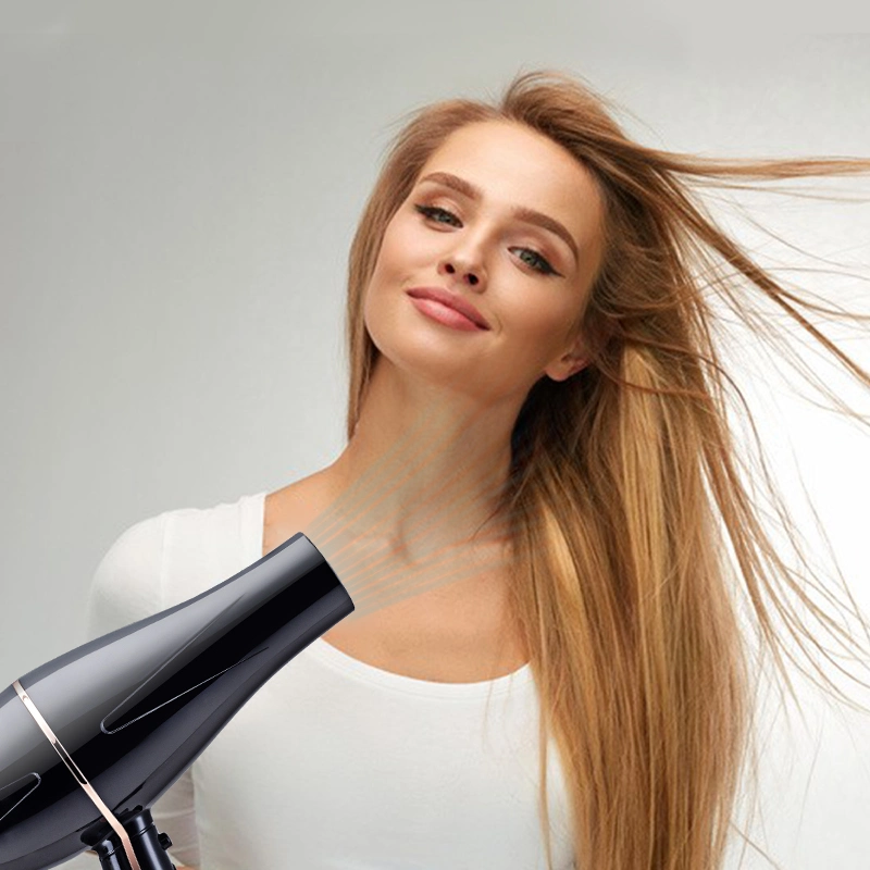 Powerful Airflow Ionic Hair Dryer 2X Faster