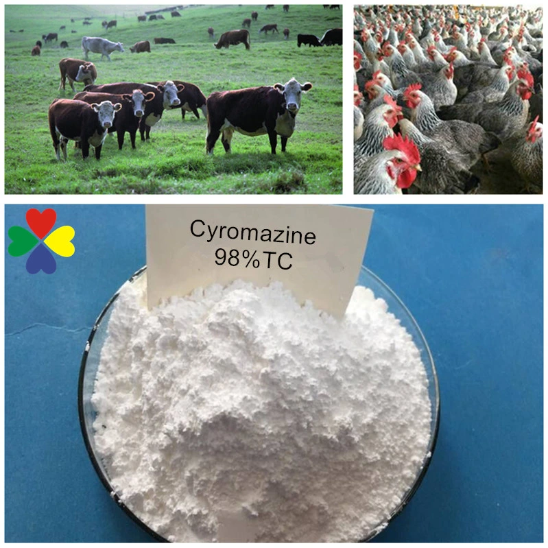 98%Tc Medicine for Parasiticide Veterinary Drugs Cyromazine