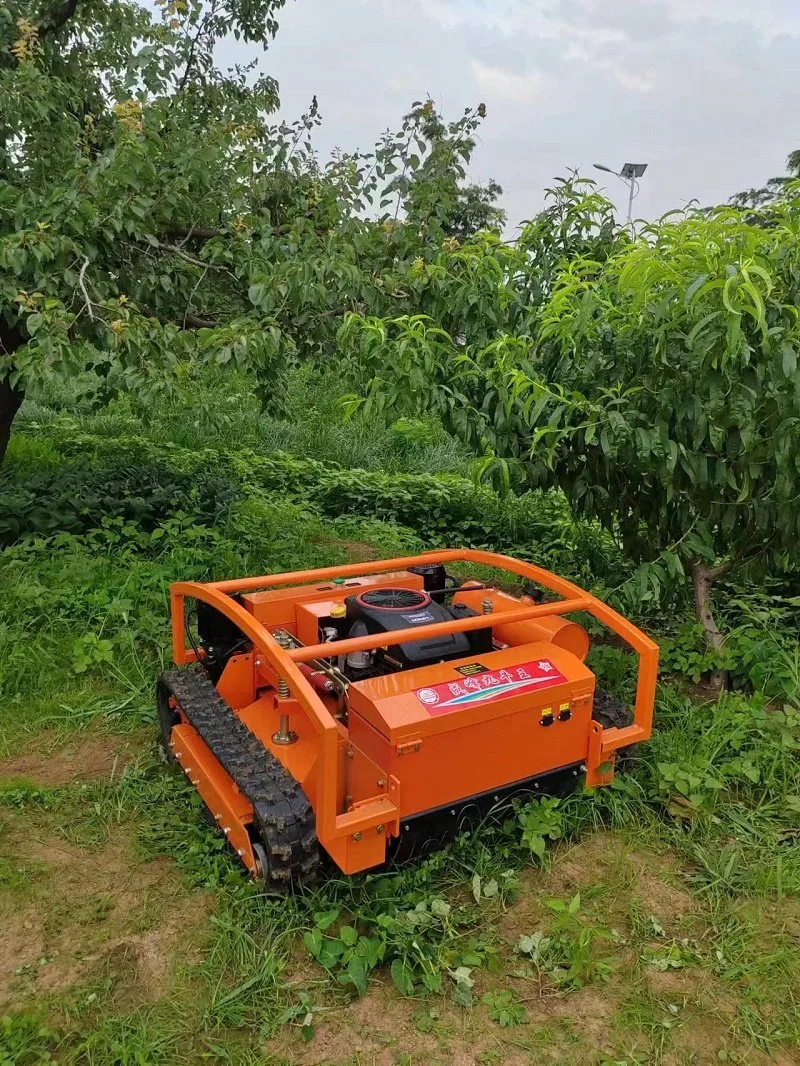 Hot Sale Smart Lawn Mower Agricultural Machine