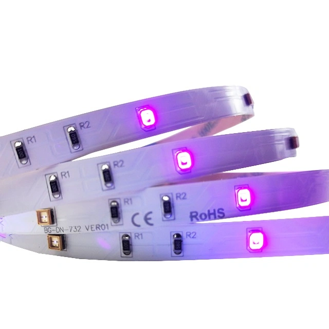 Barato al por mayor de 12V 5m Flexible SMD 5050 UV 395-400nm 365nm de luz púrpura tira LED impermeable/banda inteligente para la etapa de la luz Iluminación discoteca