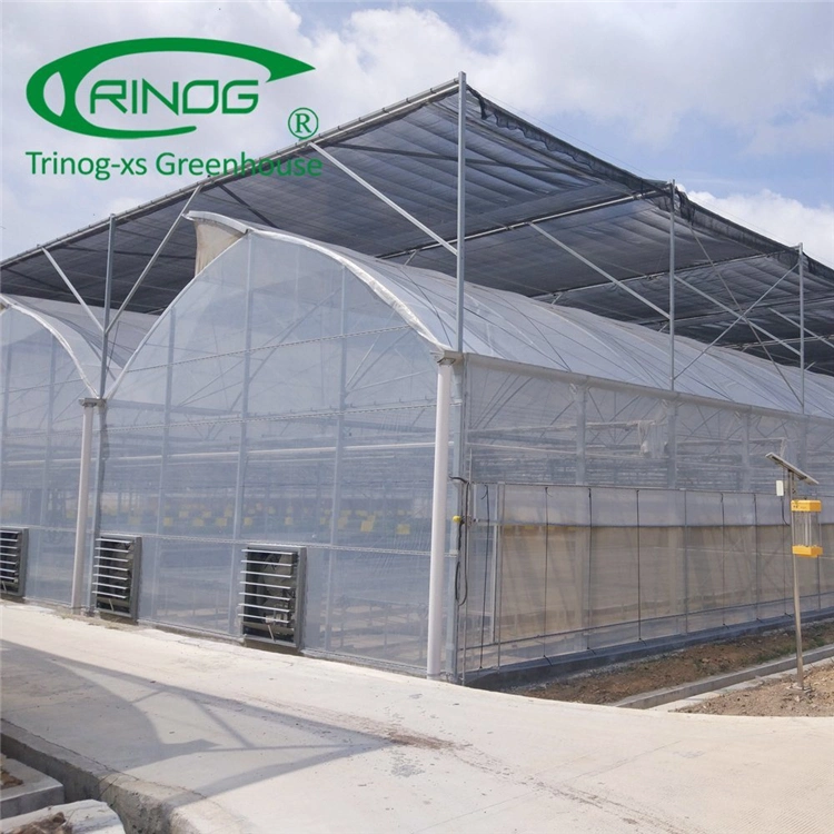 Intelligent Multi-Functional Film Greenhouse for Vegetable