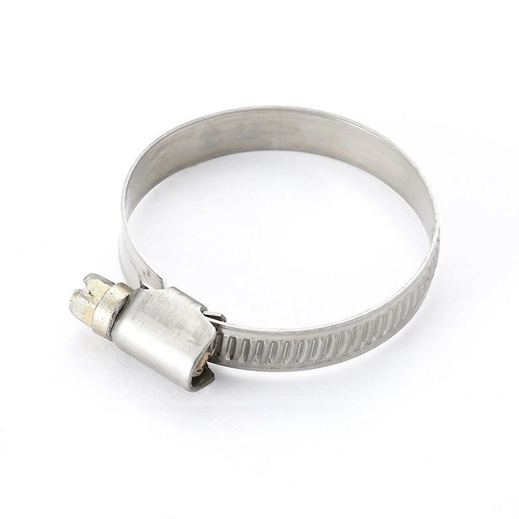 Germany Stainless Steel Hose Pipe Clamp, Customized Tube Clamp Zinc Plated