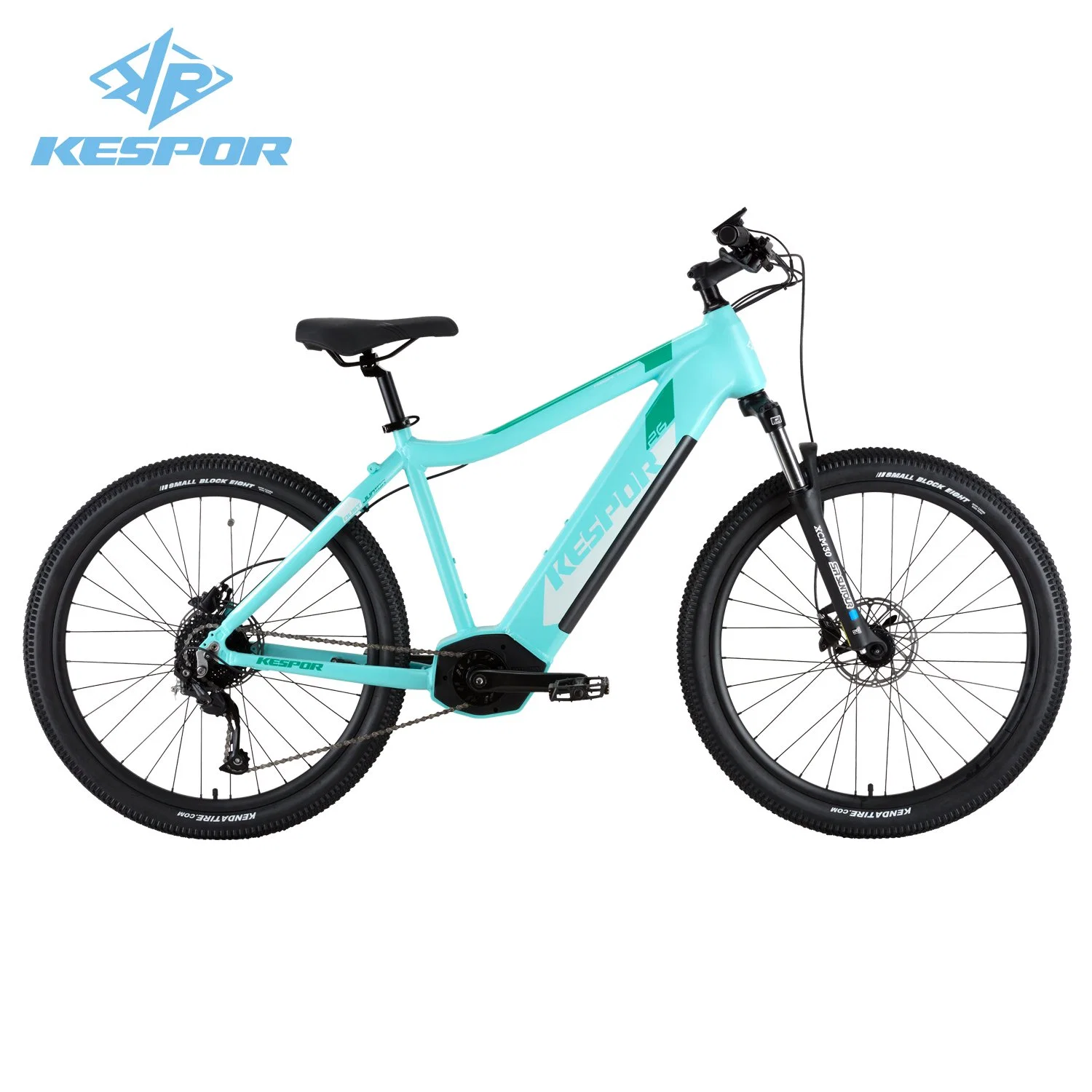 Trendy Design 26 Inch 36V 250W Kids/Junior Electric Bike for Wholesale/Supplier