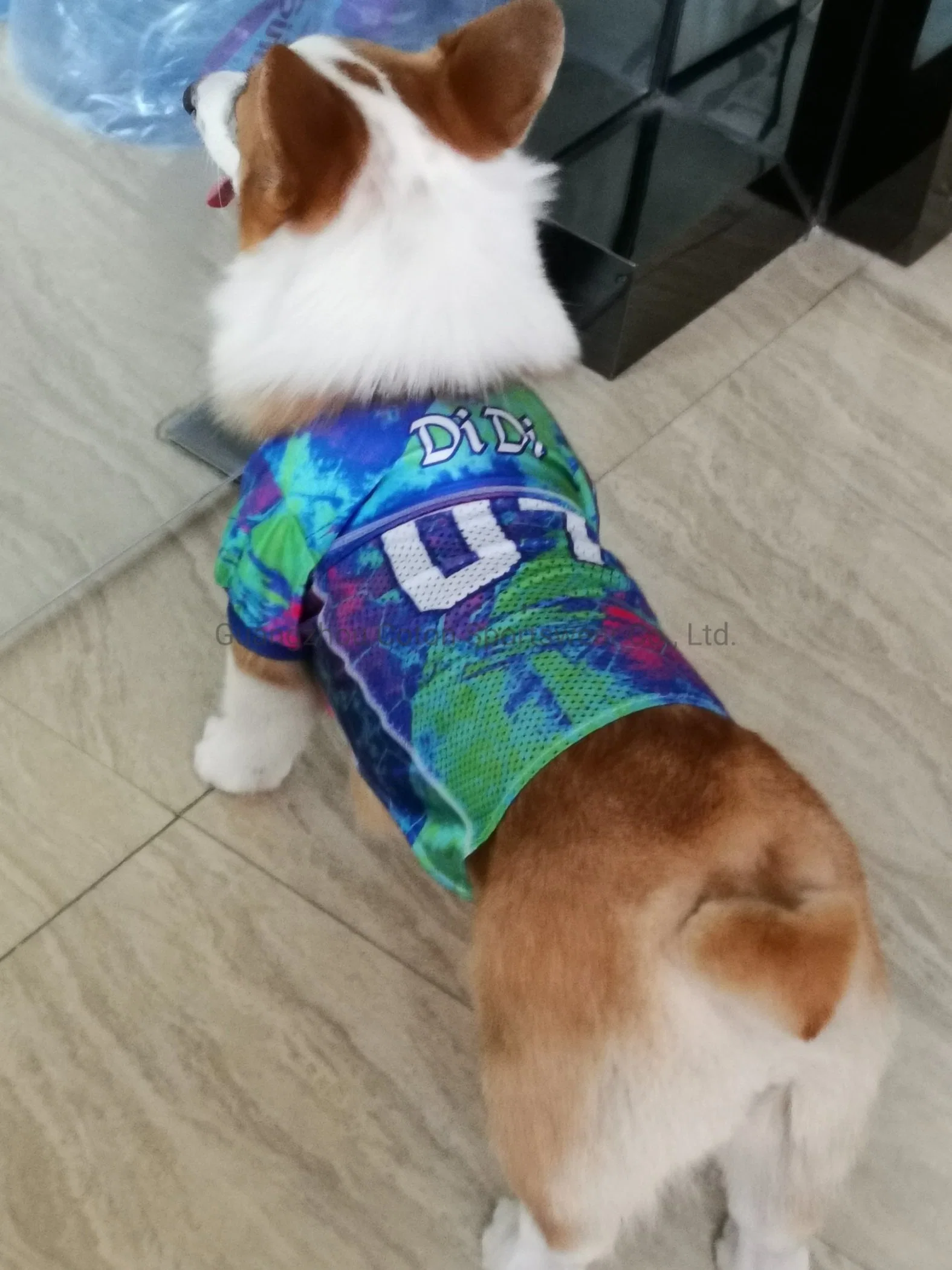 Pet personalizado Ropa Verano mascota perro de prendas de vestir la camiseta de NFL Rugby Football Shirt