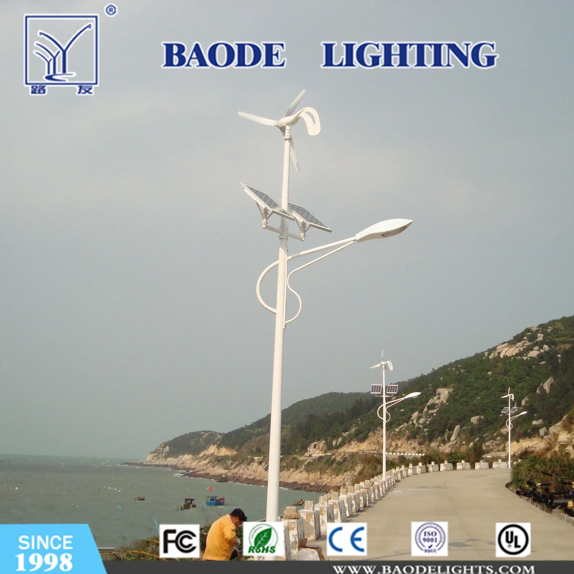 IP67 Hot-DIP Galvanized Steel Wind Solar LED Hybrid Street Light