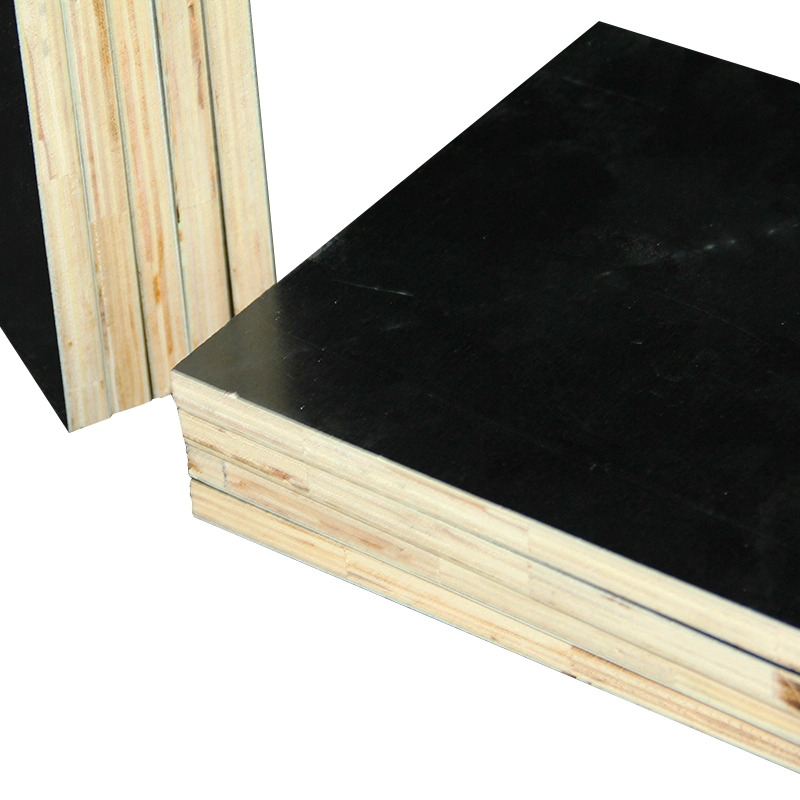 High Quality Grade Plywood Timber Sale