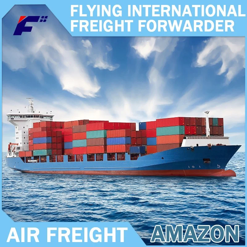 From Shenzhen Sea Freight Express Service to Syria Arabia Freight Forwarder Logistics Service