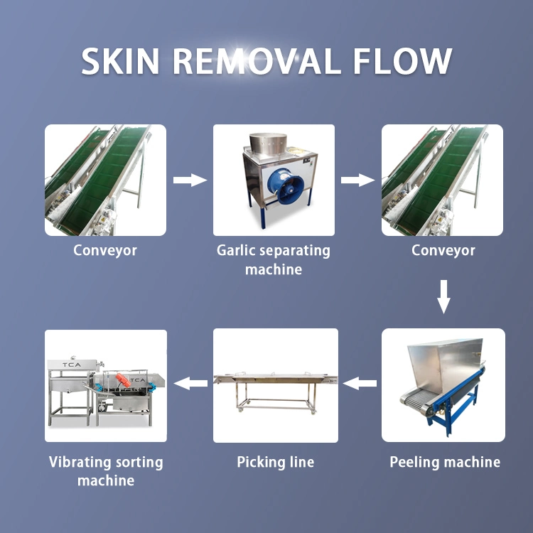 TCA Grande capacité petite brosse commerciale Peeler à l'ail Peeler Peeling production Line machine