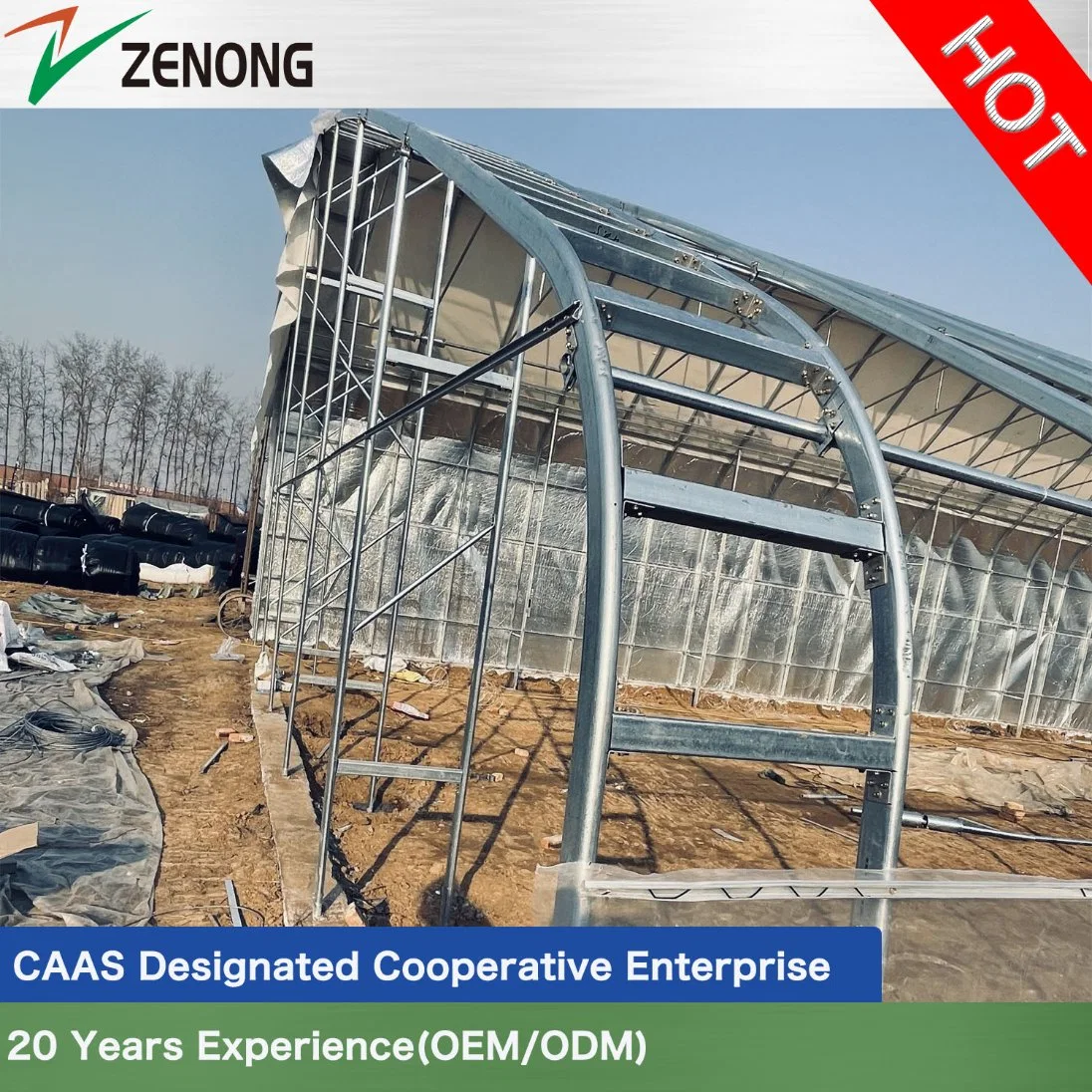 Film Sunlight Solar Greenhouse with Active Storage and Release System