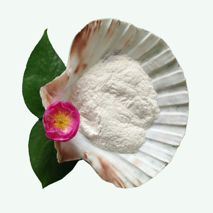 Food Grade Carboxymethylcellulose Sodium CMC Powder for Ice Cream and Baking