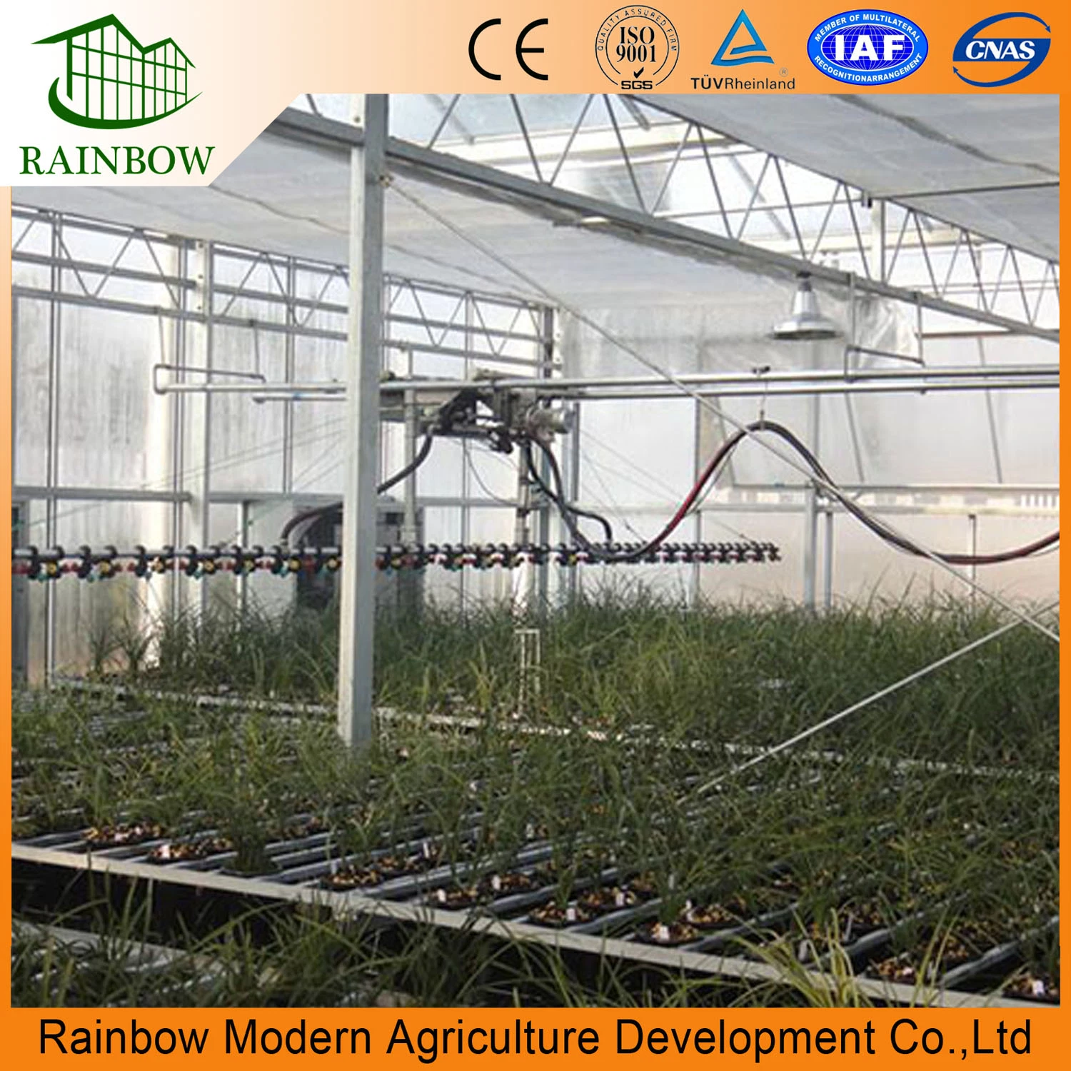 Multi Span Plastic Greenhouse Spray System